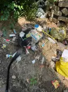 Doraha Hospital Faces Legal Action Over Improper Bio-Waste Disposal: PPCB