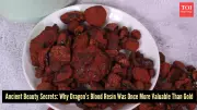 Dragon's Blood Resin: Ancient Skincare Ingredient Rediscovered