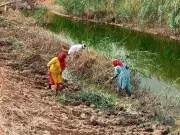 Drain-Cleaning Work Intensifies in Sirsa and Fatehabad Ahead of Monsoon