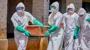 Ebola May Have Spread Beyond Africa: Global Health Response Underway