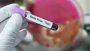 Ebola Outbreak: Nigeria Returnee in Karnataka Placed Under Home Quarantine