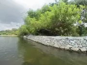 Eco-Friendly Gabion Walls Protect Ranganathittu Bird Sanctuary Islands