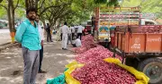 El Nino Delays Monsoon, Hits Maharashtra's Onion Capital Lasalgaon