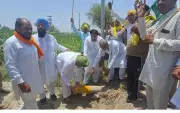 Farmers Remove Survey Pillars in Fazilka to Oppose Proposed Embankment
