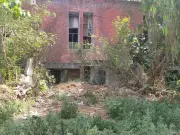 Ferozepur Officers Colony in Ruins: 14 Houses Declared Unsafe, Thefts Rise