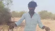 Forest squad nabs youth for hunting hares, making reels in Raichur
