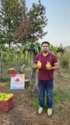 From Bar to Berry: Ludhiana Lawyer's Journey into Exotic Fruit Farming