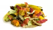From Trash to Trend: Indian Chefs Transform Kitchen Scraps into Gourmet Flavors