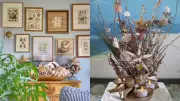 From Wall Art to Centrepieces: 8 Shell Decor Ideas for a Coastal Vibe