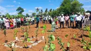 GBA Joins BDA to Plant 15 Lakh Saplings Across 314 Bengaluru Locations