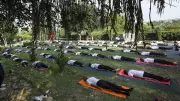 Global Highlights: June 22, 2026 – Cricket, Bullock-Cart Races, and More