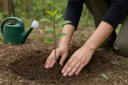 Goa CM Launches 90-Day Green Campaign to Plant 10 Lakh Saplings
