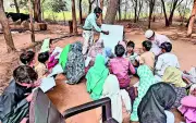 Gurgaon tops Haryana in education quality in PGI-D 2024-25