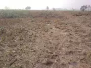 Haryana Cabinet Approves Ordinance to Fast-Track Shamlat Land Sale Cases