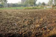 Haryana Land Dispute: 1,394 Acres Vested with State, Commissioner Orders Fresh Adjudication