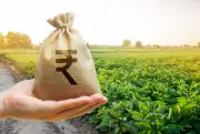 Haryana launches FPO Mission-2026 to boost farmers' incomes, strengthen rural economy