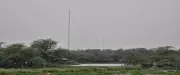 Haryana's First AI-Powered Bird Census Starts at Sultanpur National Park