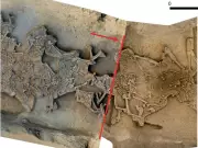 Headless Neolithic Burials in Slovakia Reveal Ritual Decapitation, Not Warfare