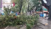 Heavy Rains Flood Bengaluru IT Corridors, Block Underpasses