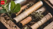 Herbal Cigarettes Not Safer Than Tobacco, Study Warns of Higher Toxins