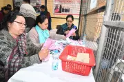 Himachal's First Pink Counting Centre Inaugurated in Lahaul and Spiti