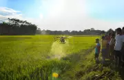 Himachal's Pesticide Crisis: Experts Warn of Health and Ecological Disaster