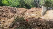 Horticulture Waste Piles in Gurgaon Park Spark Health Concerns