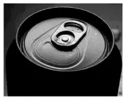 How a Forgotten Can Opener at a Picnic Revolutionized Beverage Packaging