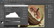How a Student's Coding Break Led to the Creation of Photoshop in 1990