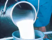 HP Milkfed Defends 20-Litre Milk Procurement Cap Amid Criticism