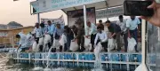 ICAR-CIFRI Releases 5,000 Fish Fingerlings into Ganga to Restore Native Species