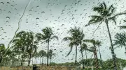 IMD Predicts Rains, Thunderstorms Across India; Monsoon to Advance by June 23