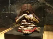 Inca Child Sacrifice Discovery on Cerro El Plomo: A Frozen Window into Ancient Rituals