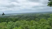 India Restores 21.7 Million Hectares of Degraded Land, Progress Report Shows