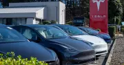 India's Electric Vehicle Revolution Continues to Gain Momentum