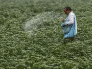 India's Fertiliser Security Challenge: Geopolitical Risks and Path to Self-Reliance