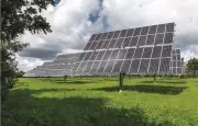 India's renewable energy success offers key lessons for Southeast Asia: IEA