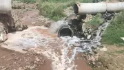 Industrial Pollution Degrades Sarsa and Balad Rivers in Baddi Despite Oversight