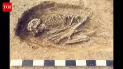 Japan's 'Ushikawa Man' Fossils Revealed as Bear Bones After 70 Years