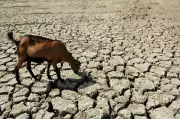 Jharkhand to Get Timely Monsoon Onset This Year, Says IMD