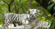 June 4, 2026: Best Photos from Around the World Capture Stunning Moments