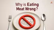 Karma and Diet: Vegetarianism vs Meat Eating Explained