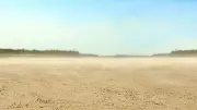 Karnataka Forest Dept to Recover Rs 400 Crore Land in Sirsi After 36 Years