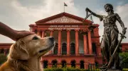Karnataka HC: Animal Cruelty a Blemish on Human Conscience