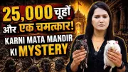 Karni Mata Temple: The Sacred Rats of 25,000 Kabas Revealed