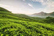 Kerala Budget Unveils Land Reforms 2.0, Land Bank and Faster Conversion