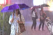 Kerala Weather: IMD Issues Orange, Yellow Alerts for Heavy Rain