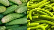 Kheera vs Kakdi: Which Summer Veggie Hydrates Better and Daily Intake