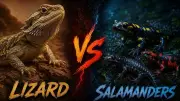 Lizard vs Salamander: Key Differences in Skin, Habitat, and Behavior