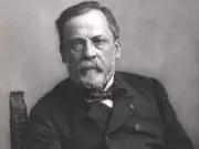 Louis Pasteur's Chicken Cholera Discovery: Fact vs. Myth in Vaccine History